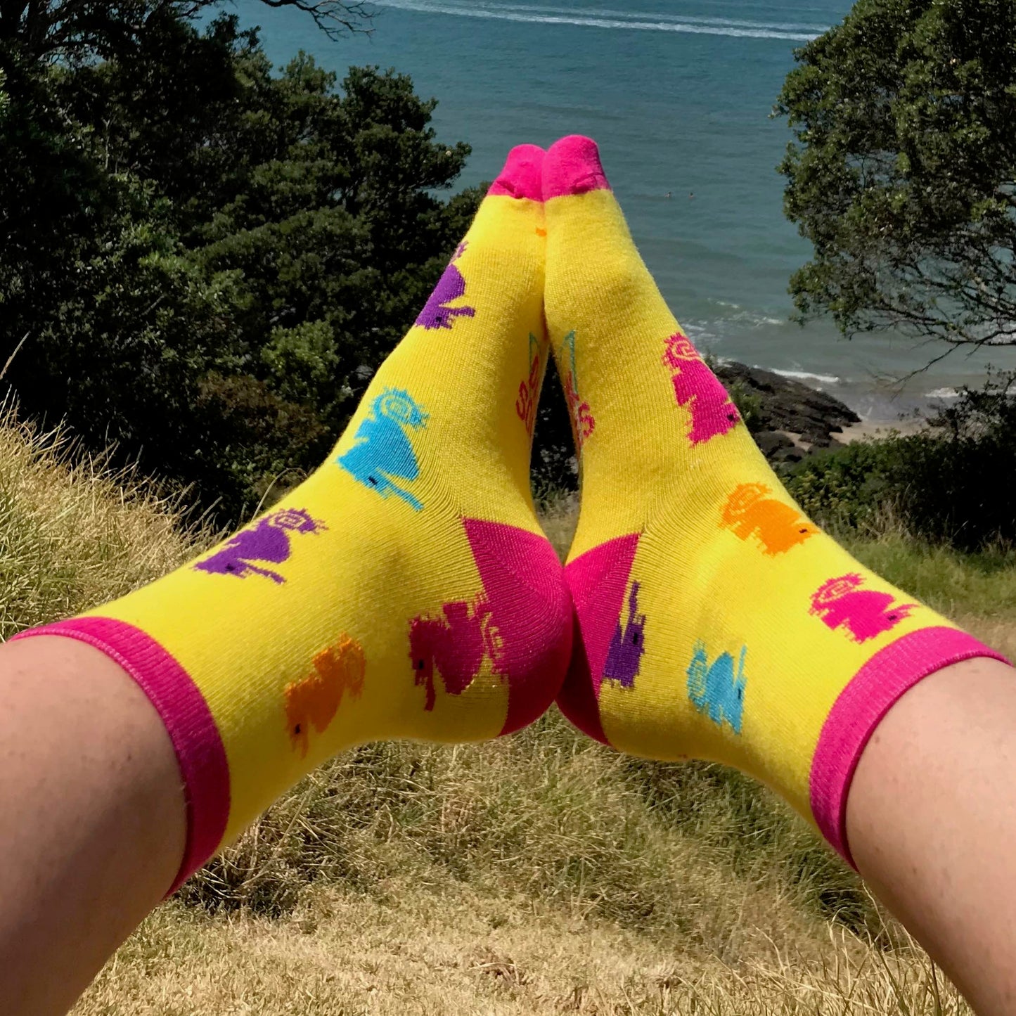 DS002 Athletic Equine Seahorse bamboo sock by Dark Soles Socks New Zealand